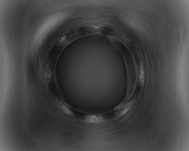 X0000086730239200704131113