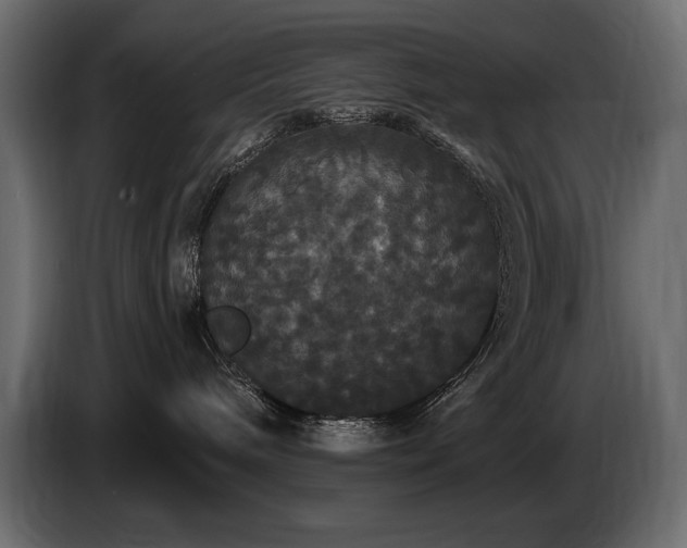 X0000086730240200704131113