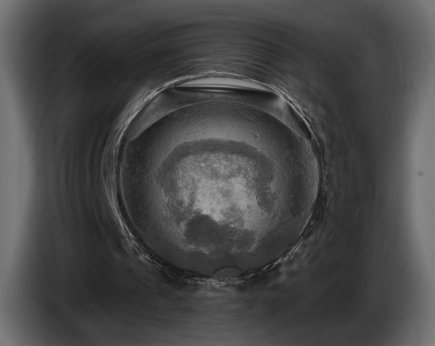 X0000086730241200704131113