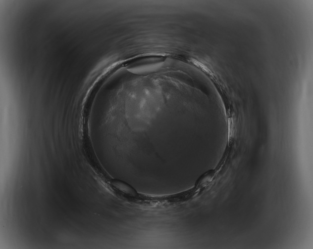 X0000086730243200704131113