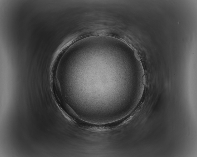 X0000086730245200704131113