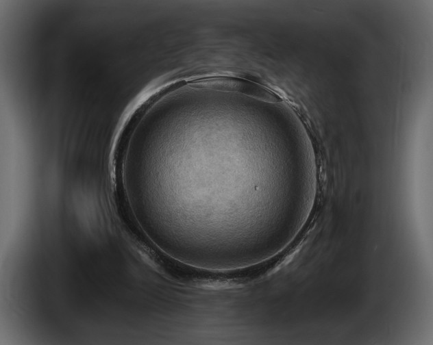 X0000086730246200704131113