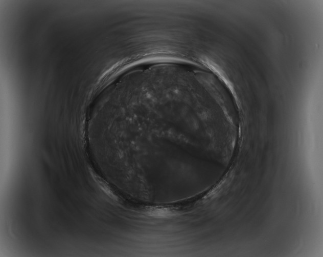 X0000086730249200704131113