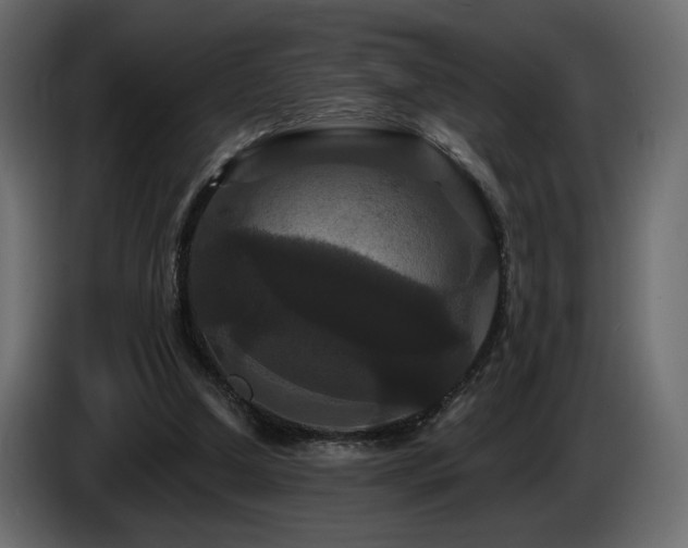X0000086730250200704131113