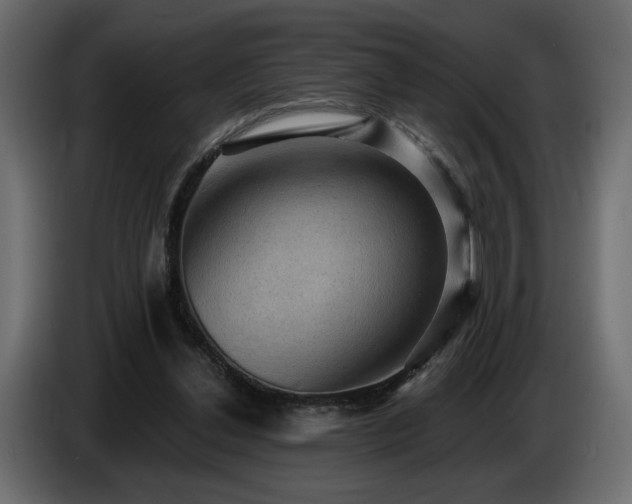 X0000086730252200704131113