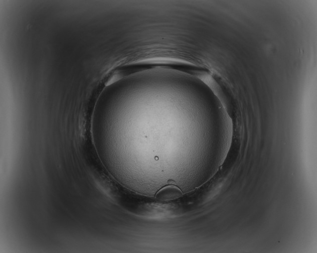 X0000086730255200704131113