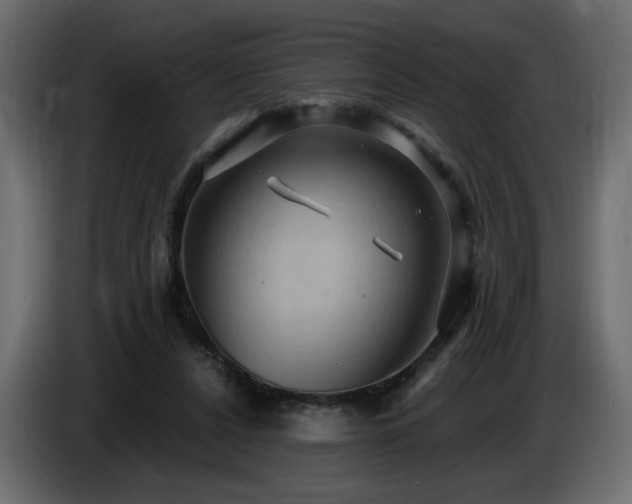 X0000086730256200704131113