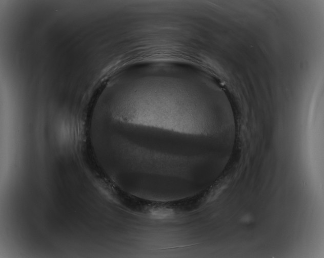 X0000086730258200704131113