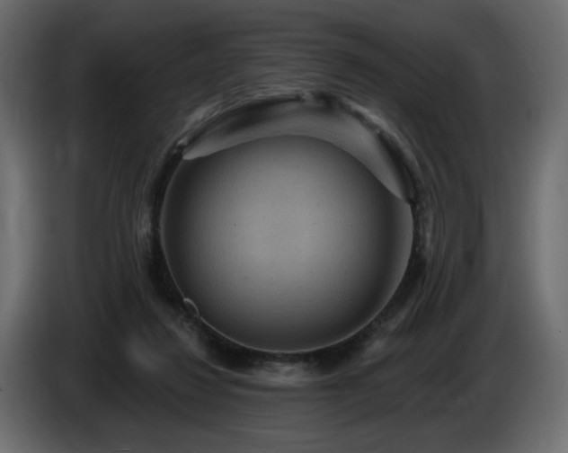 X0000086730260200704131113