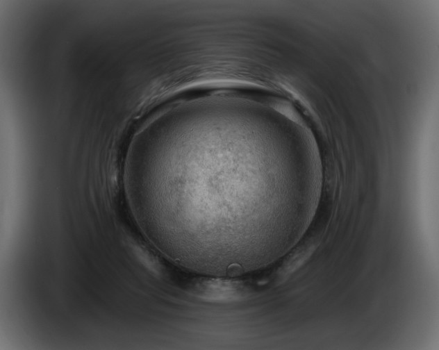 X0000086730261200704131113