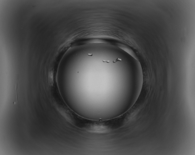 X0000086730262200704131113