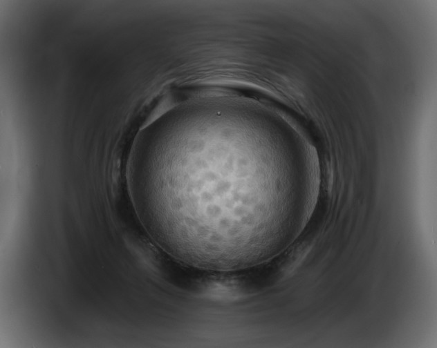 X0000086730263200704131113