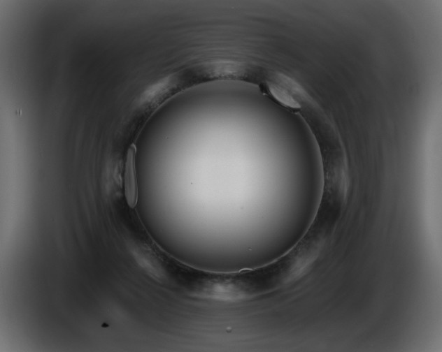 X0000086730264200704131113