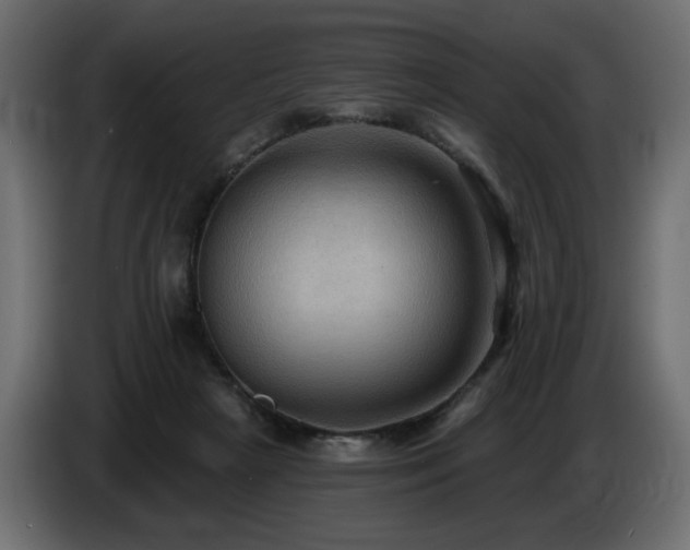 X0000086730265200704131113