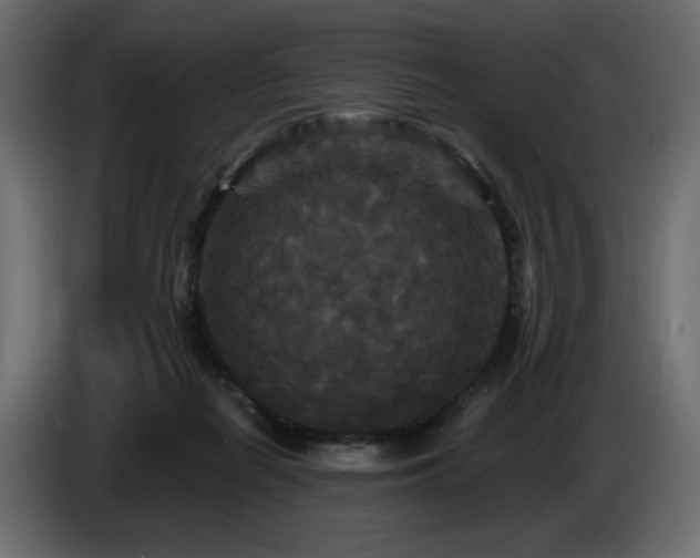 X0000086730266200704131113