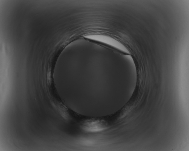 X0000086730267200704131113