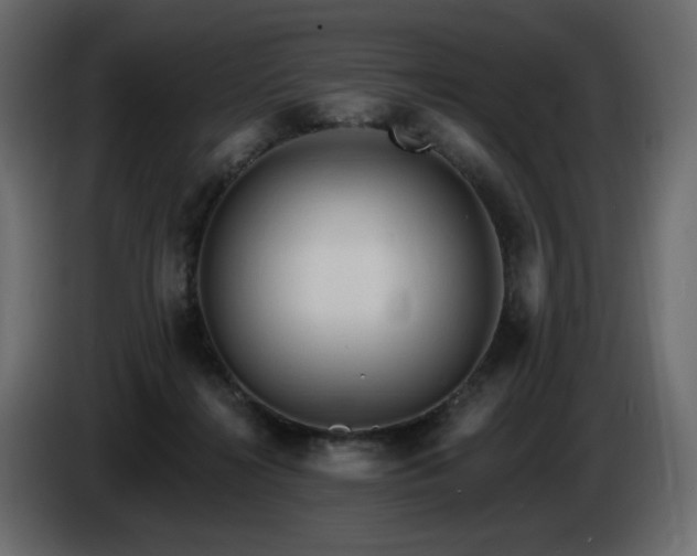 X0000086730268200704131113