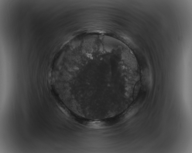 X0000086730269200704131113