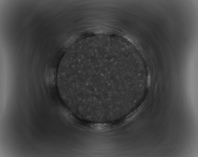 X0000086730273200704131113