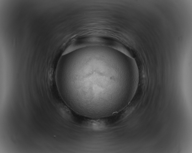 X0000086730275200704131113