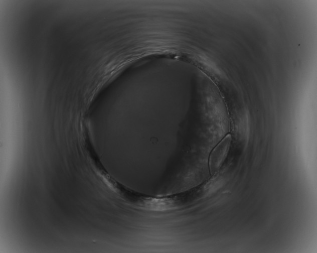X0000086730277200704131113