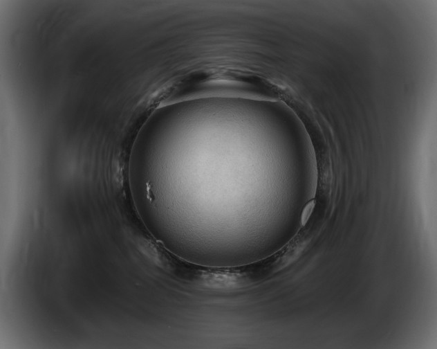 X0000086730282200704131113