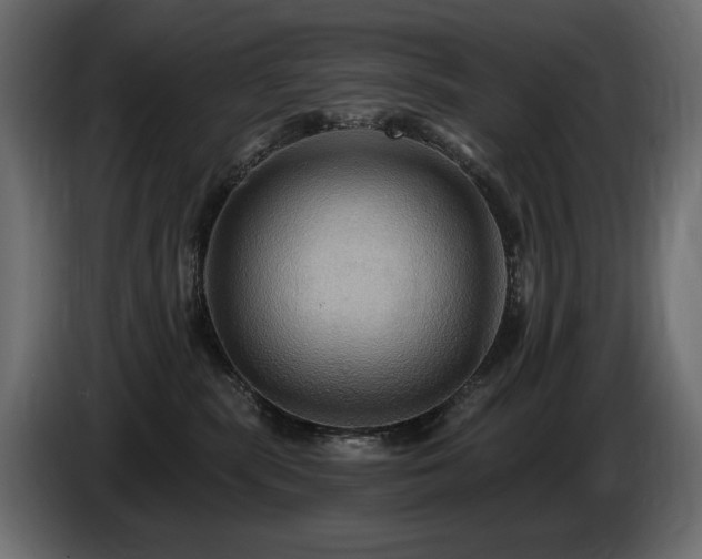 X0000086730283200704131113