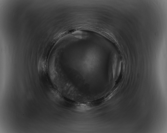 X0000086730285200704131113