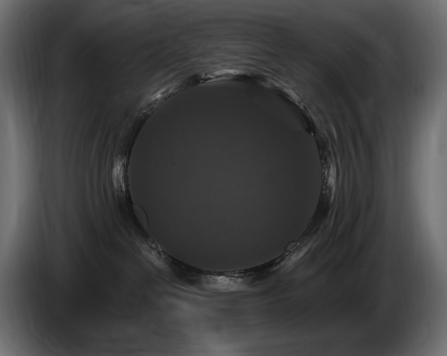 X0000086730286200704131113