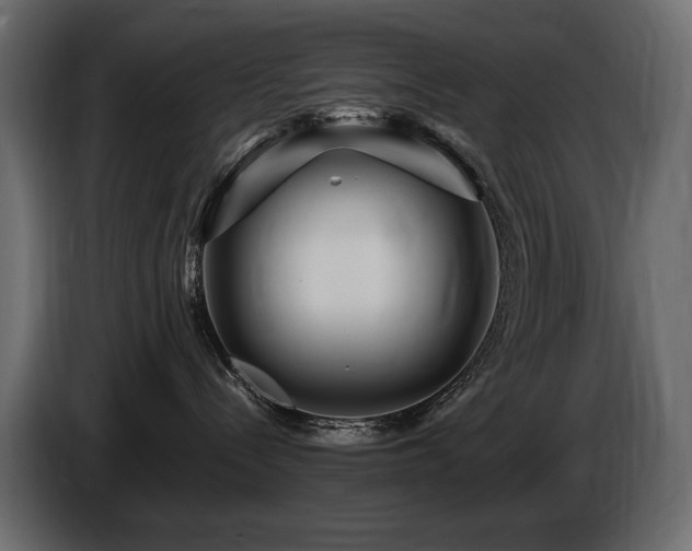 X0000086730288200704131113
