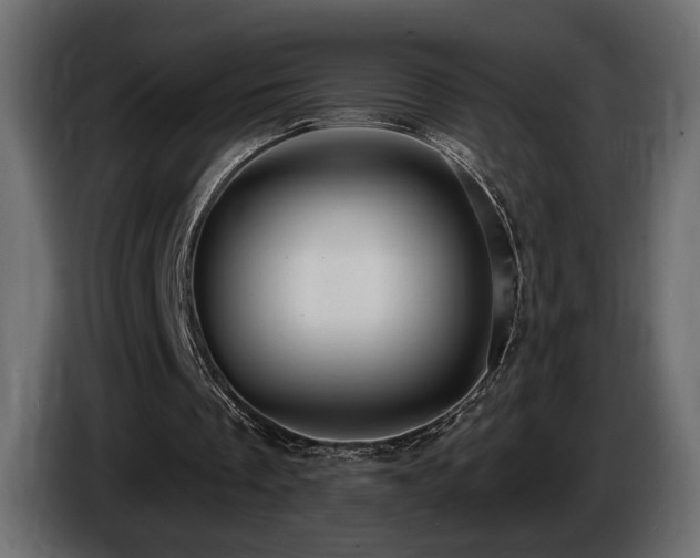X0000086730289200704131113