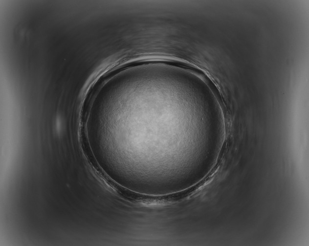 X0000086730293200704131112