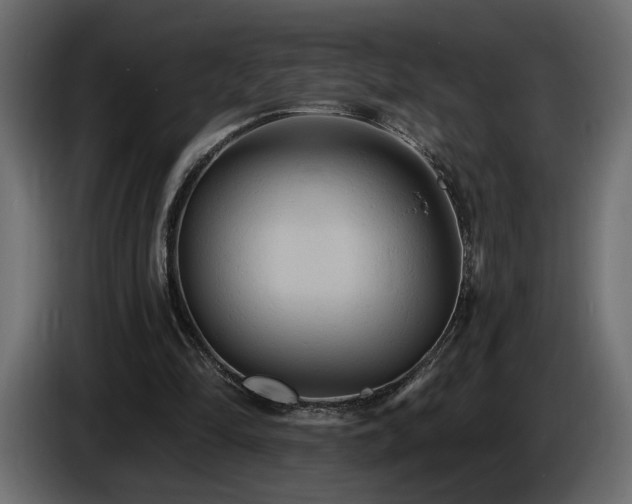 X0000086730294200704131112