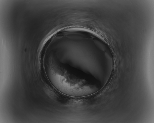 X0000086730295200704131112