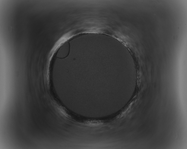 X0000086730296200704131112