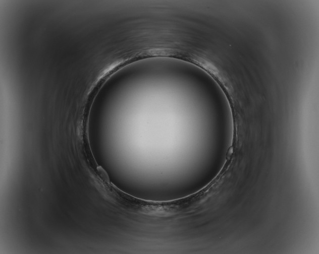 X0000086730297200704131112