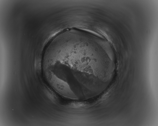 X0000086730299200704131112