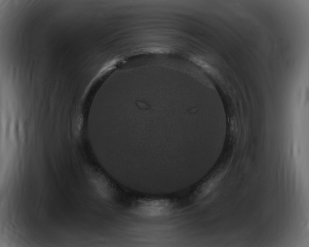 X0000086730304200704131112