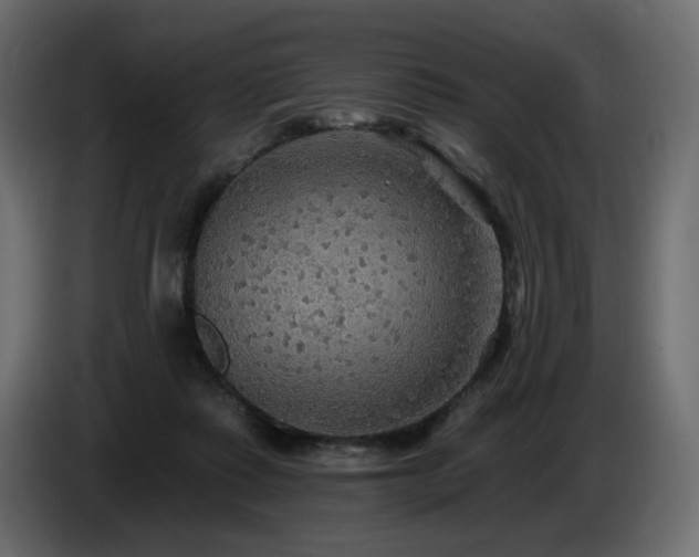 X0000086730315200704131112