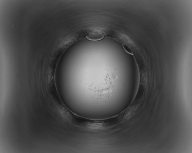 X0000086730318200704131112
