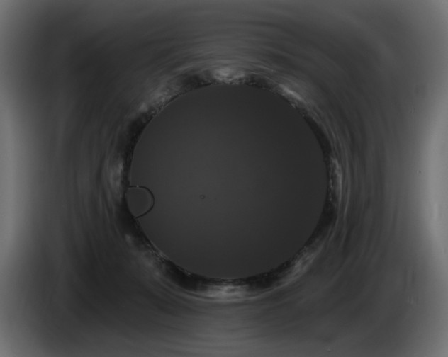 X0000086730319200704131112
