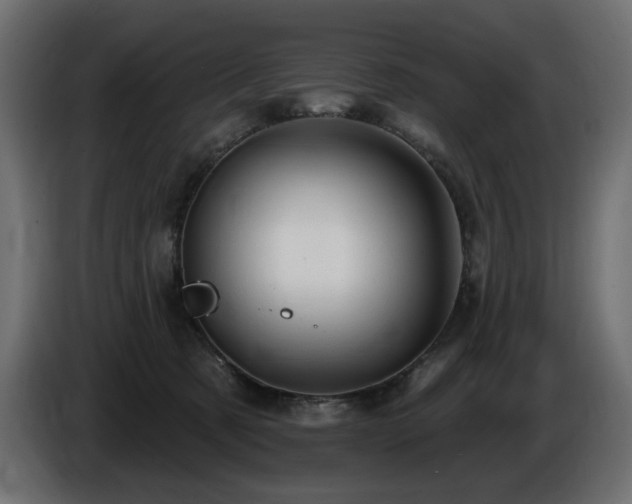 X0000086730321200704131112