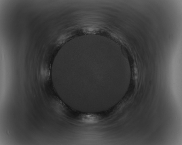 X0000086730324200704131112