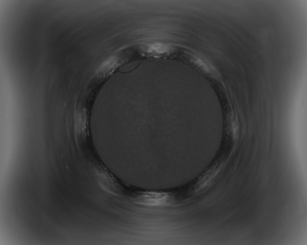 X0000086730328200704131112