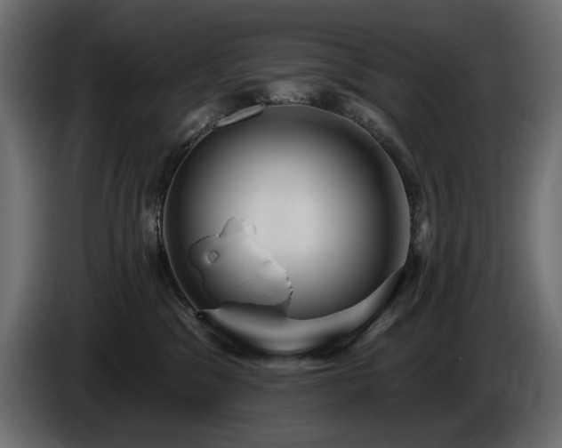 X0000086730329200704131112