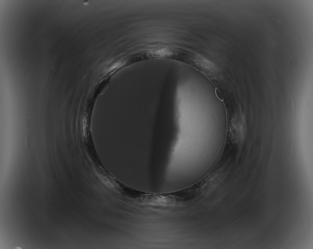 X0000086730330200704131112