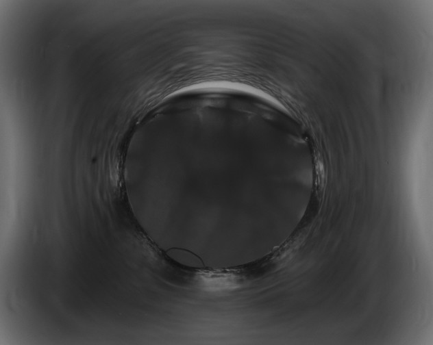 X0000086730331200704131112