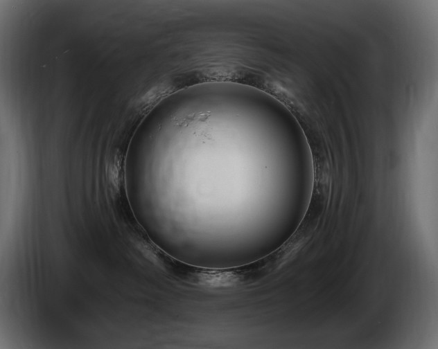 X0000086730334200704131112