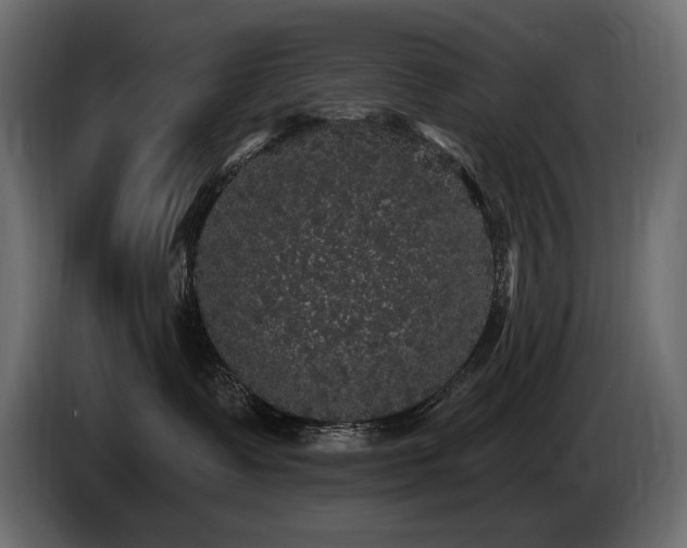 X0000086730335200704131112
