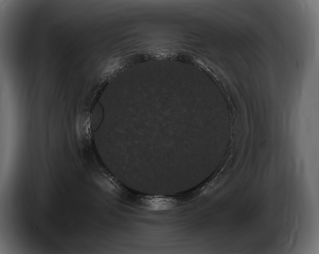 X0000086730336200704131112